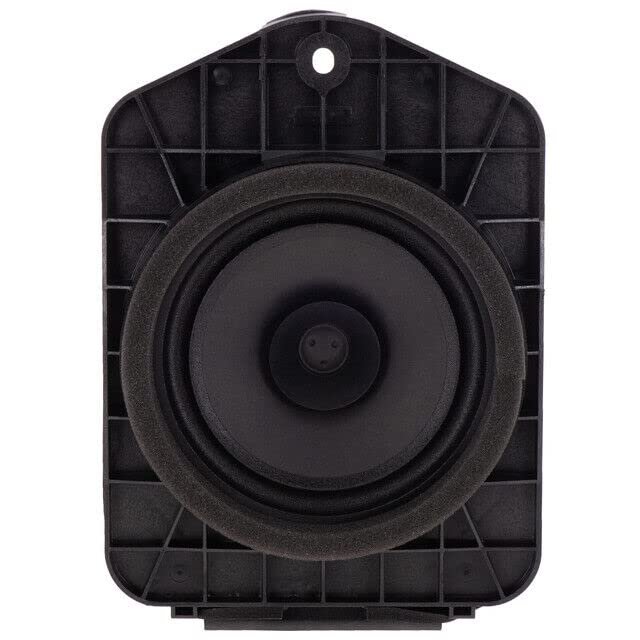 GM Speaker