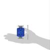 Surge Protective Devices, SPIKESHIELD TVSS Duplex Receptacle with Light, 20A 125V, 5-20R, Blue view 2