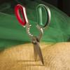 Sanelli Professional Scissor, Length-21 cm, Stainless Steel, Multi, One Size view 2