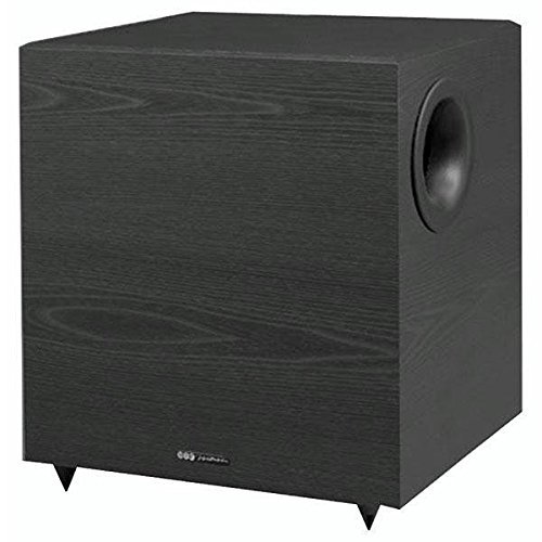 BIC America VenturiSpeaker