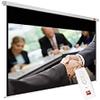AVTECH SCREEN BUSINESS ELECTRIC 300P, 1EVE53 view 1