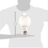 Plusrite 1028 MH1000/BT37/U/4K 1000W Metal Halide Light Bulb view 2
