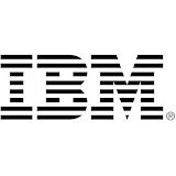 IBM 300 GB 2.5" Internal Hard Drive
