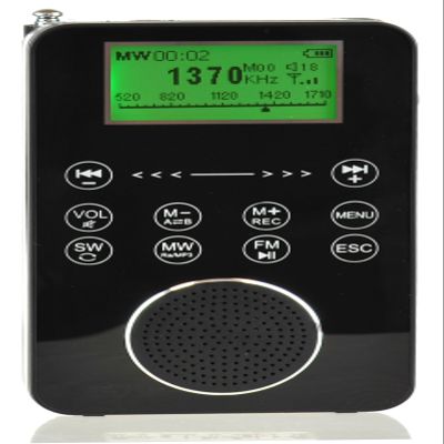 Degen DE1131 4-in-1 Touch Screen Controlled Portable AM/FM/SW Digital Radio, MP3 Player with Built-in 4GB Flash Memory and Micro-SD Card Reader, Voice Recorder & E-Book Reader