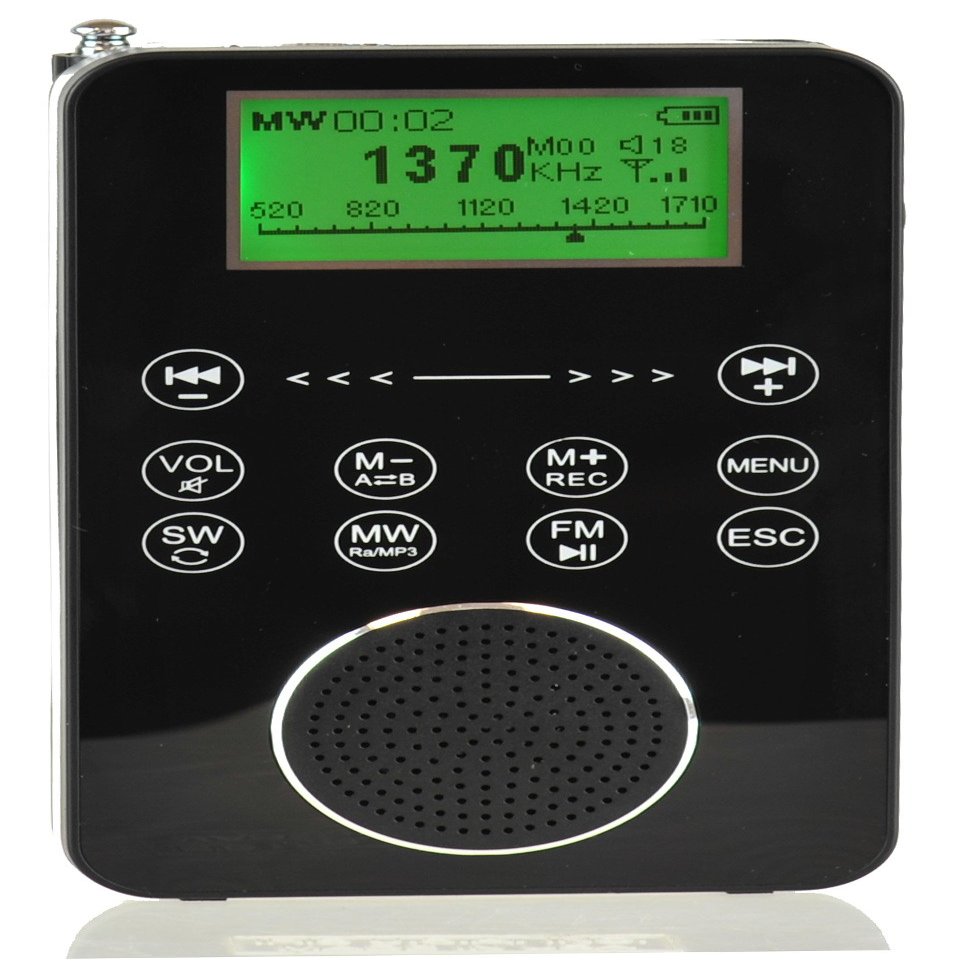 Degen DE1131 4-in-1 Touch Screen Controlled Portable AM/FM/SW Digital Radio, MP3 Player with Built-in 4GB Flash Memory and Micro-SD Card Reader, Voice Recorder & E-Book Reader