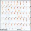 French BPO Keyboard Decals ON Transparent Background with Blue, Orange, RED, White OR Yellow Lettering (14X14) (Orange) view 2