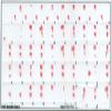 Hindi Keyboard Decals ON Transparent Background with Blue, Orange, RED, White OR Yellow Lettering (14X14) (Red) view 2