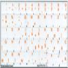 Slovak Keyboard Decals ON Transparent Background with Blue, Orange, RED, White OR Yellow Lettering (14X14) (Orange) view 2