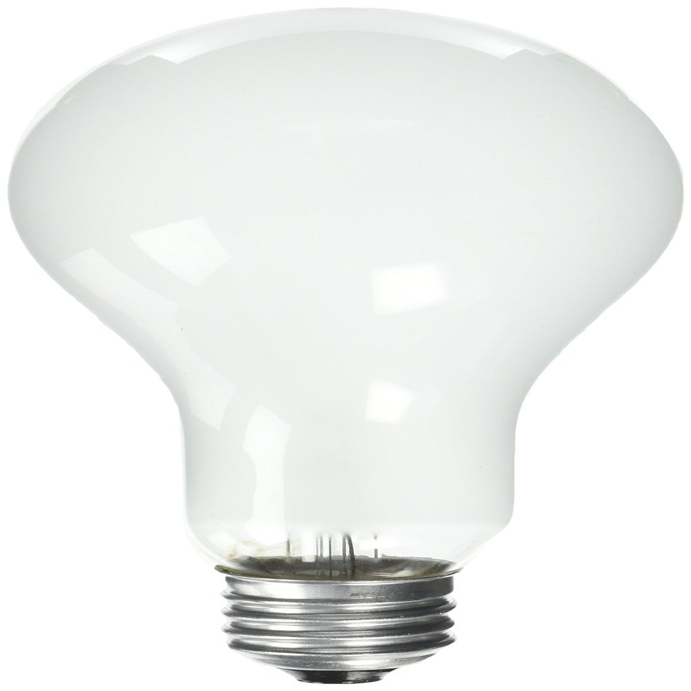 EiKO ECA Inside Frosted Photoflood Light Bulb (2-Pack), 120 Voltage Rating, 250 Watts, 2.08 Amps, Medium Screw (E26) Base, A-23 Bulb, C-9 Filament, 5.52"/140.2mm MOL, 2.76"/70.0mm MOD