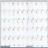 COLEMAK Keyboard Decals ON Transparent Background with Blue, Orange, RED, White OR Yellow Lettering (14X14) (Orange) view 2
