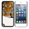 Graphic4You Tiger Animal Design Hard Case Cover for Apple iPod Touch 5th Generation 5G view 1