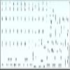 Apple NS Danish Non-Transparent Keyboard Decals Black OR White Background for Desktop, Laptop and Notebook (White Background) view 2