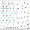 Apple Lithuanian - English Non-Transparent Keyboard Labels Layout Black OR White Background for Desktop, Laptop and Notebook (CG) (White Background) view 2