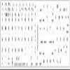 Apple Portuguese Non-Transparent Keyboard Labels Layout Black OR White Background for Desktop, Laptop and Notebook (CG) (White Background) view 2