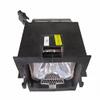 DLP Replacement Projector Lamp Bulb Module Fit for Projectiondesign AVIELO Spectra with Housing view 1