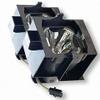 AWO DLP Replacement Projector Lamp Bulb with Housing Fit for Barco R9841111 R9841100 IQ G300 Dual Lamp view 1