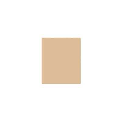 Salsbury Industries Finished Double End Panel for 6-Feet by 15-Inch Metal Locker, Tan