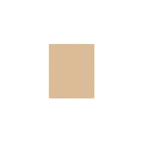 Salsbury Industries Finished Double End Panel for 6-Feet by 15-Inch Metal Locker, Tan