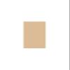 Salsbury Industries Finished Double End Panel for 6-Feet by 15-Inch Metal Locker, Tan view 1