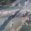 ABU Tiger Stripe Cotton/Nylon Fabric Camouflage USAF view 1