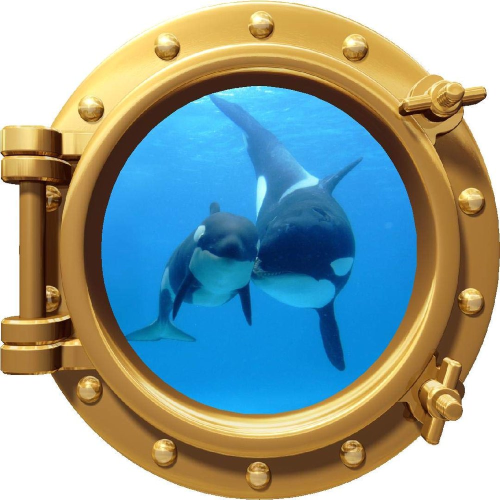 24" Porthole 3D Window Wall Decal Killer Whale & Cub Bronze Port Scape Orca Baby Whale Ocean Sea Animal Wall Art Peel and Stick Kids Room Decor
