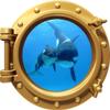 24" Porthole 3D Window Wall Decal Killer Whale & Cub Bronze Port Scape Orca Baby Whale Ocean Sea Animal Wall Art Peel and Stick Kids Room Decor view 1