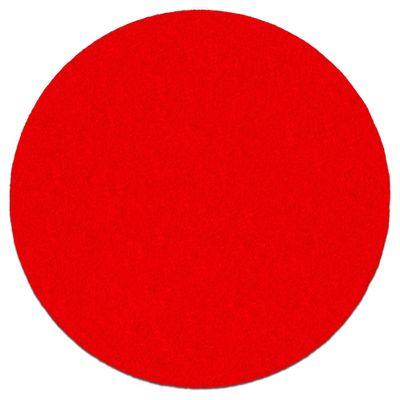 Random Orbit Sanding Disc, 6-Inch