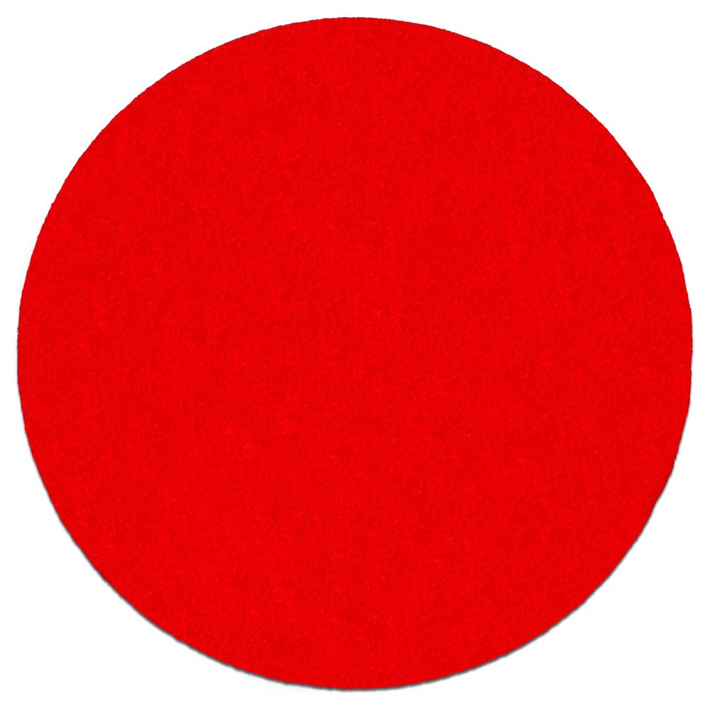 Random Orbit Sanding Disc, 6-Inch