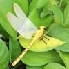3D Drangonfly Magent Stickers Yellow Home Decal Making Stickers Wall Stickers Crafts Butterflies view 3