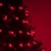 70 C6 LED Red Christmas Lights, 24 ft Green Wire Indoor/Outdoor Commercial Grade String, Valentines Day and Holiday Lighting view 4