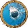 24" Port Scape Instant 3D Window Wall Sticker Great White Shark Attack Silver Porthole Wall Decal Ocean Under Water Sea Life Fish Kids Bedroom Playroom Wall Art Room Decor Removable Fabric Vinyl view 1
