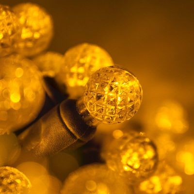 Wintergreen Lighting 24' Raspberry LED String Lights, Gold