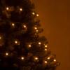 Wintergreen Lighting 24' Raspberry LED String Lights, Gold view 4