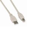 15Ft A-Male to B-Male USB2.0 Cable Ivory view 1