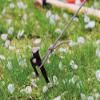 Snowpeak (suno-pi-ku) Tent Gray Rope Pro. 3 mm 10 m Cut AP  020 view 3