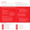 CENTURION LOK144 Lockout Tagout 12 Padlock Station, Powder Coated Steel, 72 x 265 x 31mm, Red Mini Station-12 Lock, One Size, Nylon/a view 2