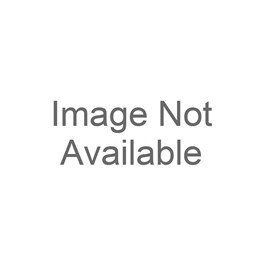 Canon RS-CL13 Ceiling Mount for Projector 8680B001