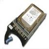 IBM 81Y9651 900GB 2.5" SAS 10K 6Gb/s Hard Drive view 1