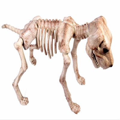 Forum Novelties Skeleton Dog Decoration, Standard