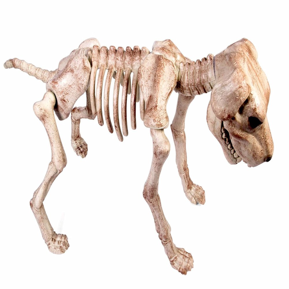 Forum Novelties Skeleton Dog Decoration, Standard