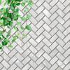 Tenedos Genuine Mother of Pearl White Oyster Herringbone Shell Mosaic Wall Tile Backsplash for Kitchen Bathroom Shower, Spas, Fireplace, Pool by Vogue Tile (Full Sheet) view 1
