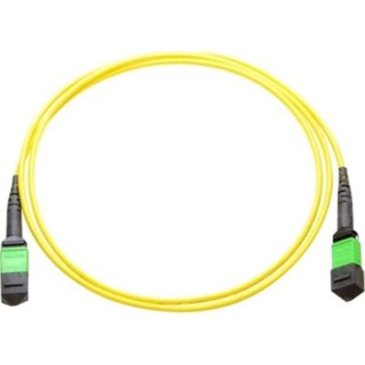 50M MPO Female/MPO Female