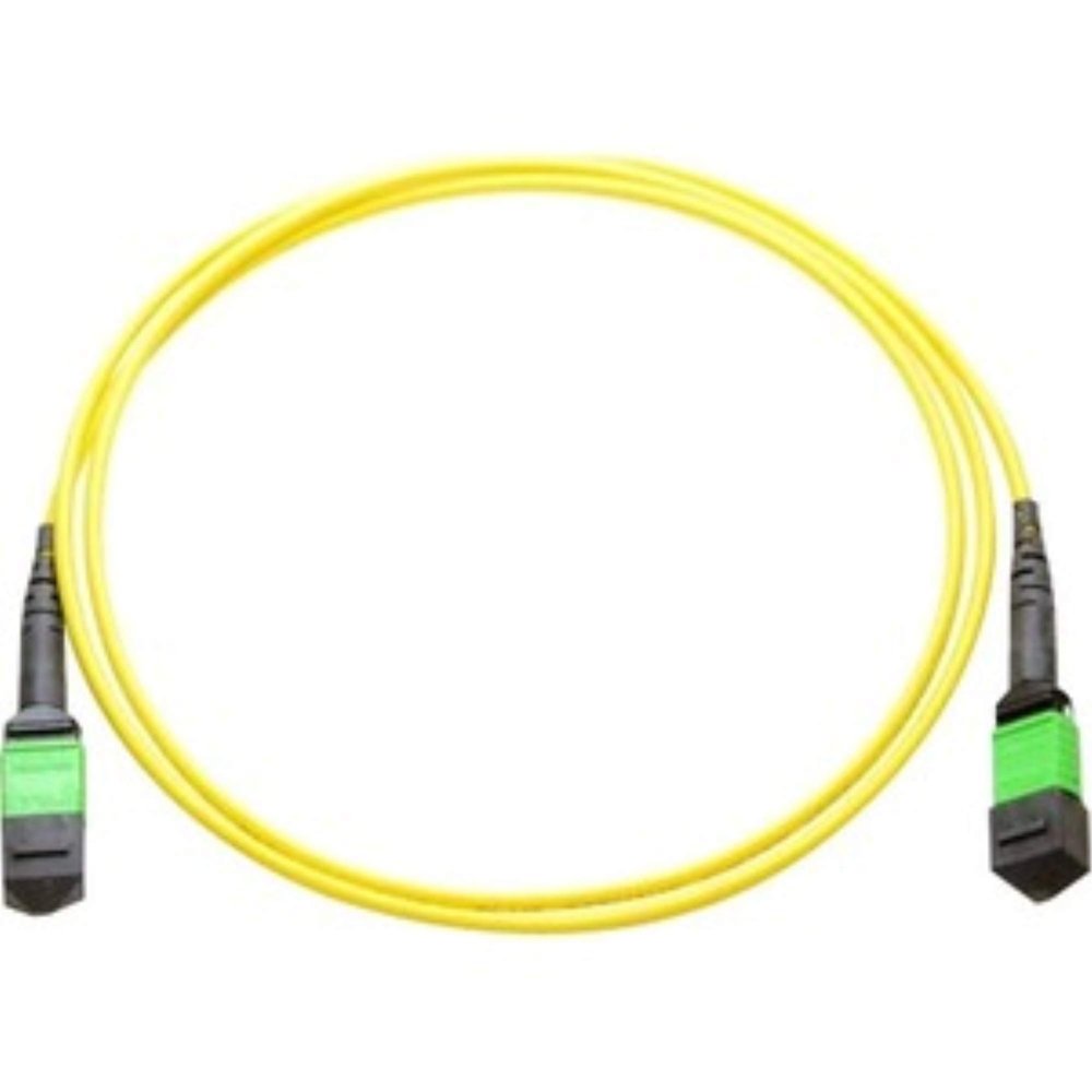 50M MPO Female/MPO Female
