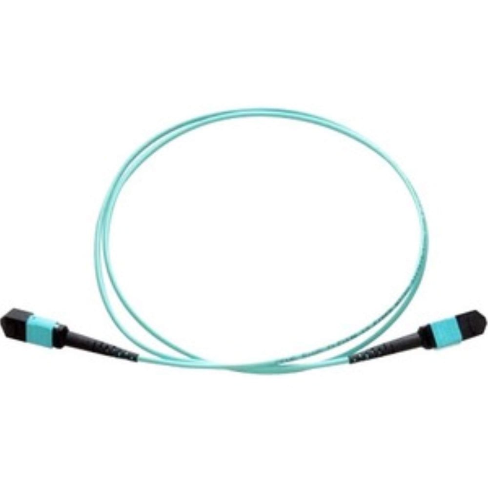 10M - MPO Female/MPO Female