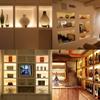 Cefrank Under Cabinet Lighting Bookshelf Light Bar - UL-Listed - Low Profile - Energy Saving - Cool to Touch - Soft Warm White view 4