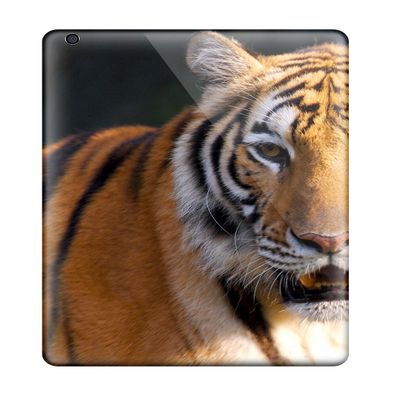 Defender Case For Ipad Air, Tiger Hd Pattern