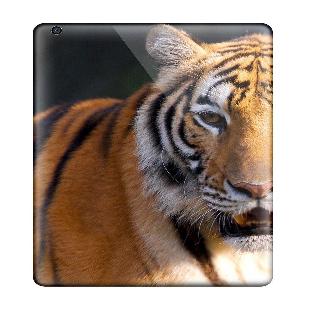 Defender Case For Ipad Air, Tiger Hd Pattern