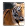 Defender Case For Ipad Air, Tiger Hd Pattern view 1