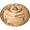 RC-MI208A, Lamp of Learing on Books Insert, Gold, 2" 501731G ROTC INSIGNIA view 1