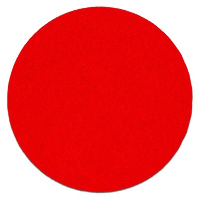 Random Orbit Sanding Disc, 5-Inch
